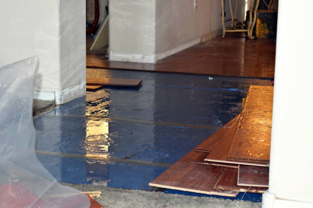 Professional Basement Flood Cleanup technician working in Moore, OK